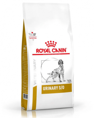 Kit 5 Ração Royal Canin Cães Recovery Lata - 195g em Promoção na Americanas