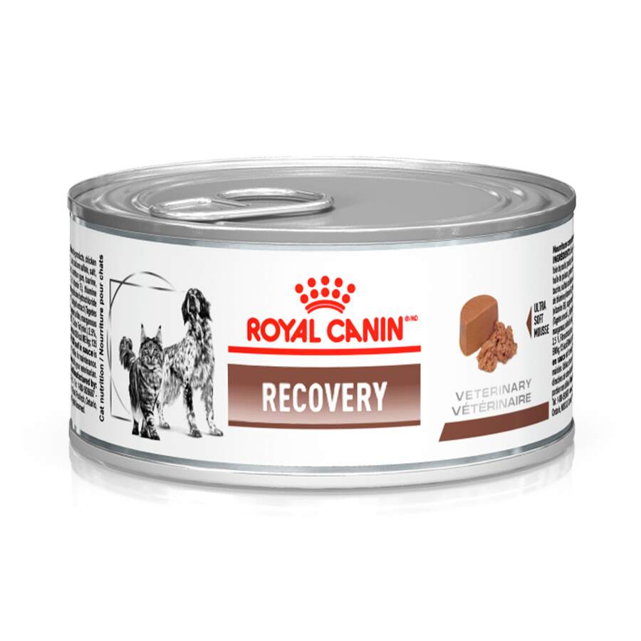 Recovery Royal Canin Ração Lata Cães/gatos 3 Unidades com o Melhor Preço é  no Zoom