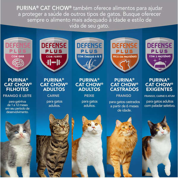 Ração_Nestlé_Purina_Cat_Chow_Adultos_Ambientes_Internos_Frango_1612634_6_OK_TC